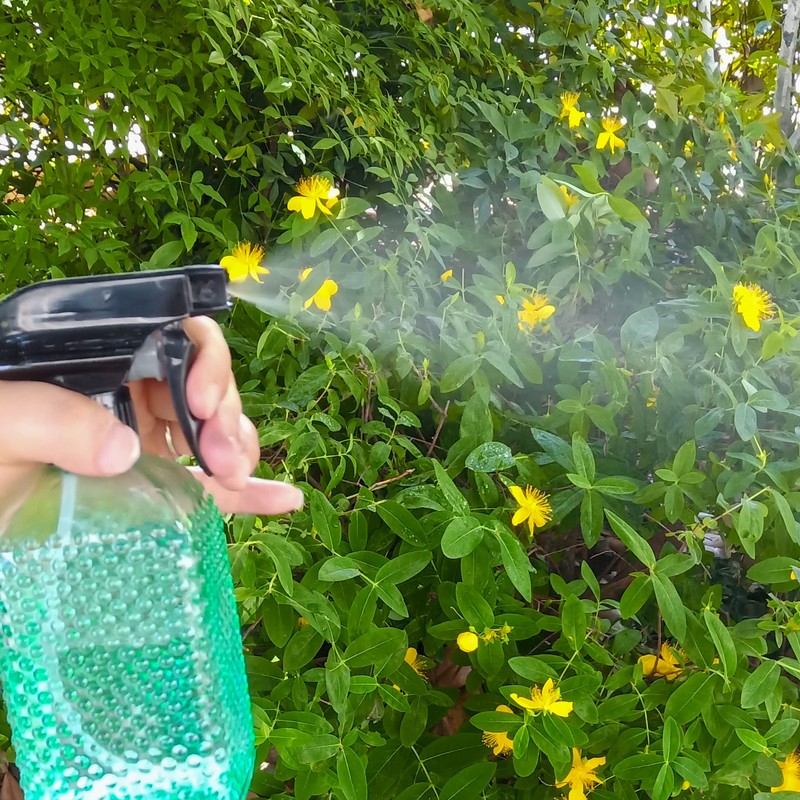 OEXEO Glass Spray Bottles,Handheld Pressure Spray Bottles,Adjustable Nozzle(spray,stream),Reusable Container (3