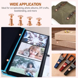 100 Pack Chicago Screws and Extention Posts for Binding Extending Scrapbook Photo Album Refill Pages Compatible with Pioneer Photo Albums, Rose Gold (M5 x 4/6/8/10mm Book Screws)