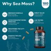 NutraCreek Sea Moss | Irish Sea Moss Capsules with Bladderwrack,