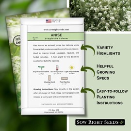 Sow Right Seeds - Anise Seed for Planting - Aromatic Culinary Herb to Plant Your Home Herb Garden - Indoors or Outdoors - Swallowtail Host Plant - Non-GMO Heirloom Seeds - A Great Gardening Gift (1)
