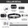 GAMUDA Small Dog Harness Collar and Leash Set, Step in