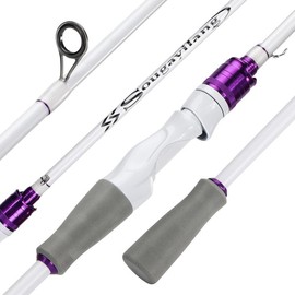 Sougayilang  Pole, 2 Sections Spinning Rod with EVA and Cork Handle Grip, Baitcasting Rod for Freshwater  Rod super smooth - Color: Spinning