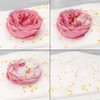 Ideen mit Herz Preparation salt for flowers, plants and grasses,