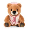 The Noble Collection Wicked : Dulcibear Plush