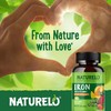 NATURELO Vegan Iron Supplement with Vitamin C and Organic Whole