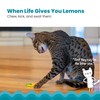 Catstages Dental Lemon Teether, Soft and Textured Cat Chew Toy,