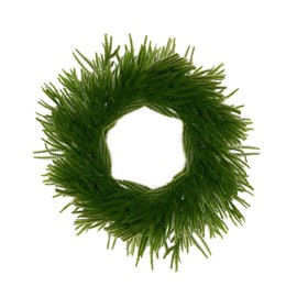 24 Inch Norfolk Pine Wreath for Front Door, Real Touch Norfolk Pine Garland, Artificial Green Wreath for Home Indoor Outdoor Decor Walls Windows Porches Farmhouse Decor