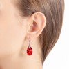 Austrian Crystal Teardrop Dangle Hook Earrings for Women 14K Gold