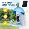 Bird Feeder with Camera Solar Powered, Smart Bird Feeder Camera