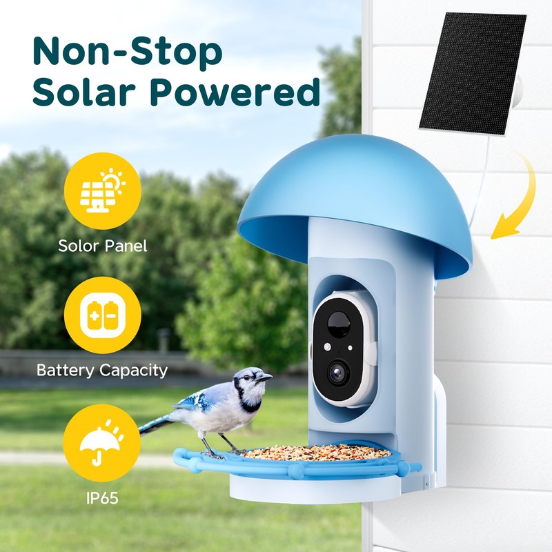 Bird Feeder with Camera Solar Powered, Smart Bird Feeder Camera