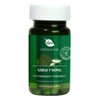 Cápsulas Sábila Nopal Magnesio Vitamina C Blen Sin Sabor 60 Unidades