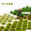 Model Grass, Summer Grass, Diorama, Scene Collection, Glass Model, Buildings,