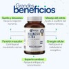 Pack Magnesio Ultra + Citrato de Potasio Nutrientes Vidalabs México