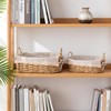 2Pcs Small Wicker Storage Baskets with Handles & Liners for