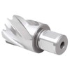Accusize Industrial Tools 1-1/8'' Cutting Dia by 1'' Cutting Depth