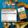 ORGANIC INDIA Tulsi Turmeric Ginger Tea Bags - Herbal Tea,