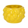Sagebrook Home Unique Decorative Ceramic Planter for Indoor Greenery
