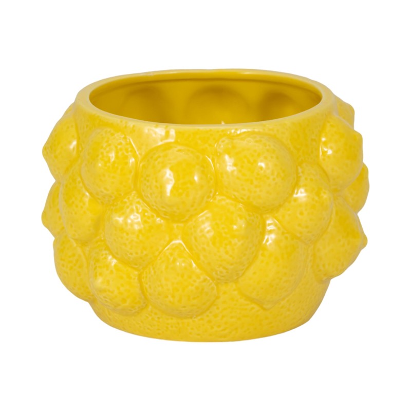 Sagebrook Home Unique Decorative Ceramic Planter for Indoor Greenery