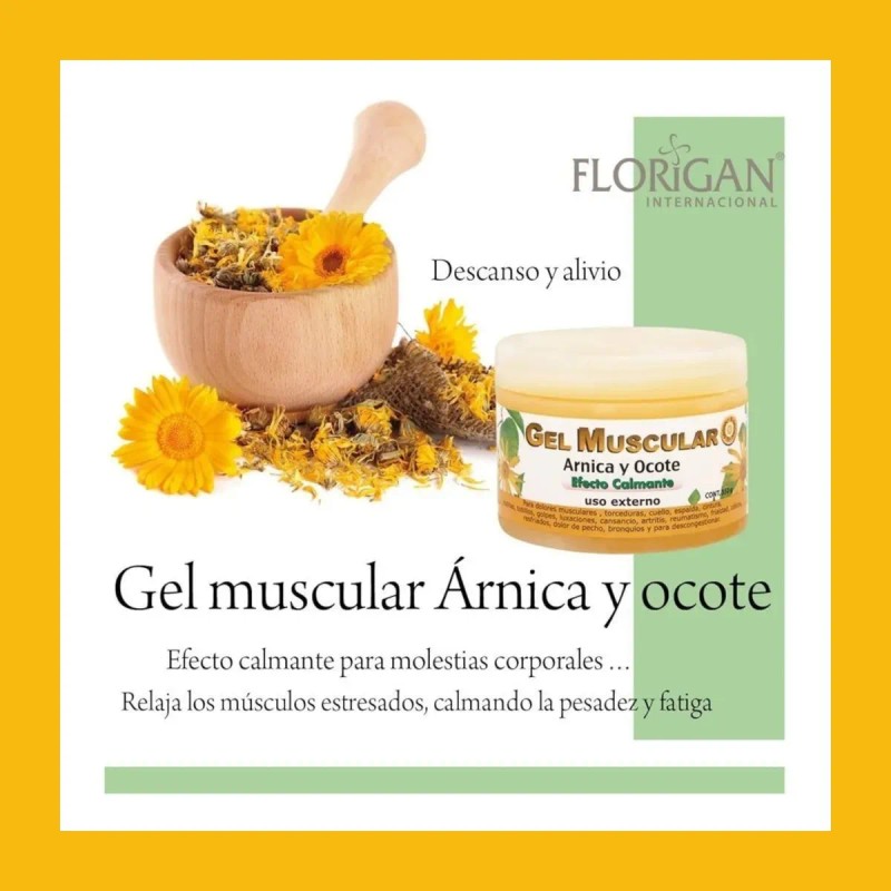 Gel Muscular Calmante Árnica & Ocote 350gr Florigan® 3 Pzas