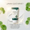 Farmstay Cica Farm Nature Soution Sun Cream