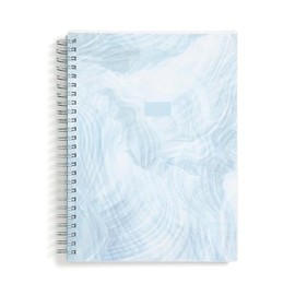 Blue Sky 2025 Tides Weekly and Monthly Planner, 5.875” x 8.625”, Wirebound, Frosted Flexible Cover (Tides- 2025, 5.875" x 8.625")