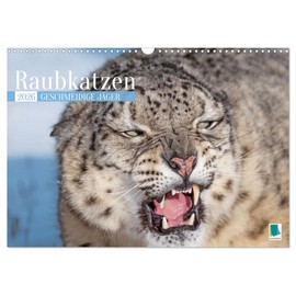 Cats of prey: Sleek hunters, US-Version (Wall Calendar 2026 DIN A3 Landscape), CALVENDO 12 Month Wall Calendar