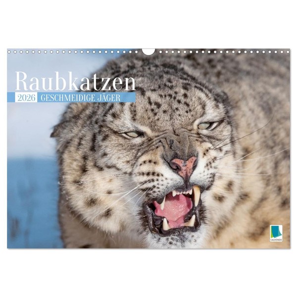 Cats of prey: Sleek hunters, US-Version (Wall Calendar 2026 DIN