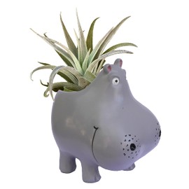 GFF Grass Flip Flops Animals Hippo Planters - 5H x 4W x 3.5D Inch Plant Pots for Succulents Flowers Herbs Houseplants Indoor Outdoor Live Plants Stand Garden Home Office Desk Kitchen Decor