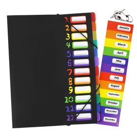12 Pocket Expanding File Folder Project Sorter Heavy Duty Monthly Plastic Expandable Folder Organizer, A4 Letter Size, Multicolor(004)