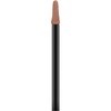 Catrice Matt Pro Ink Non-Transfer Liquid Lipstick, No. 160, Brown,
