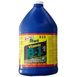 Liquinox 0-2-0 Start with Vitamin B-1, 1-Gallon
