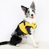 PUPPIA International Harness Soft B Vest, Medium, Yellow