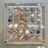 2 Pieces Mini Shell Display Box,Seashell Display Box,Acrylic Boxes for
