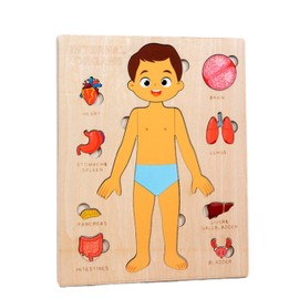 Montessori Jigsaw Puzzle of Human Structure Kids Human Learning Toy Anatomy Organ Model Anatomy Toy Children Human Organ Education Toys Human Organ Teaching Aids (Boy)