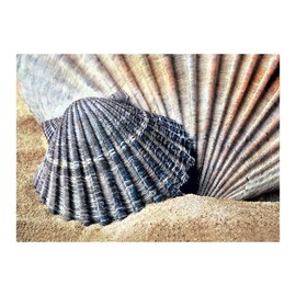 Ideen mit Herz 5D Diamond Painting Set | Motif: 35 x 25 cm | Canvas: 30 x 40 cm | Round Stones | Includes Accessories | Various Pictures to Choose From (Shells)