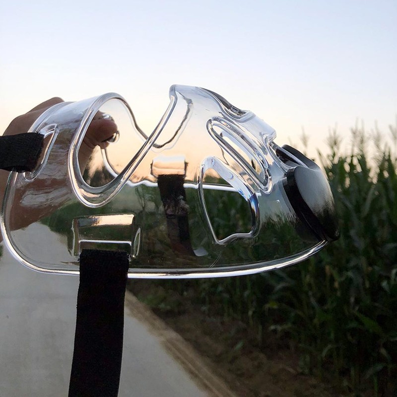 Taekwondo Headgear Clear Face Guard Portable Detachable Taekwondo Head Guard