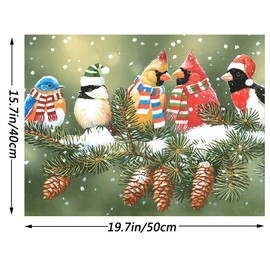 Tenei Paint by Numbers for Adults & Kids Oil Paint DIY Craft Paintings Art Set on Canvas Color by Number Kits Acrylic(Birds)