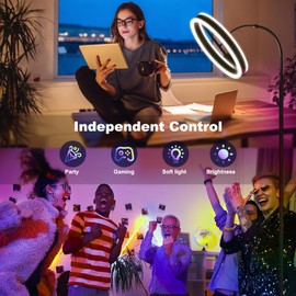 CASENKE Floor Lamp Led Light: Led Corner Lamp 6500 K - RGB DIY Color with Music Sync - Remote and APP Control Lighting for Living Room and Bedroom Black