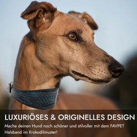 FAVPET Greyhound Wide Leather Dog Collar with QR Code Pendant for Whippet Italian Wind Chime Saluki Borzoi Lurcher Spanish Galgo Azawak, Soft Leather Dog Collar (Green, S)