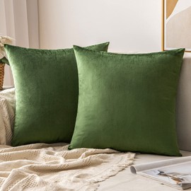 MIULEE Set of 2 Velvet Cushion Covers, Cushion Case, Decorative Cushion, Decorative Cushion Cover, Scatter Cushion Cover, with Hidden Zip, 40 x 40 cm, Matcha Green