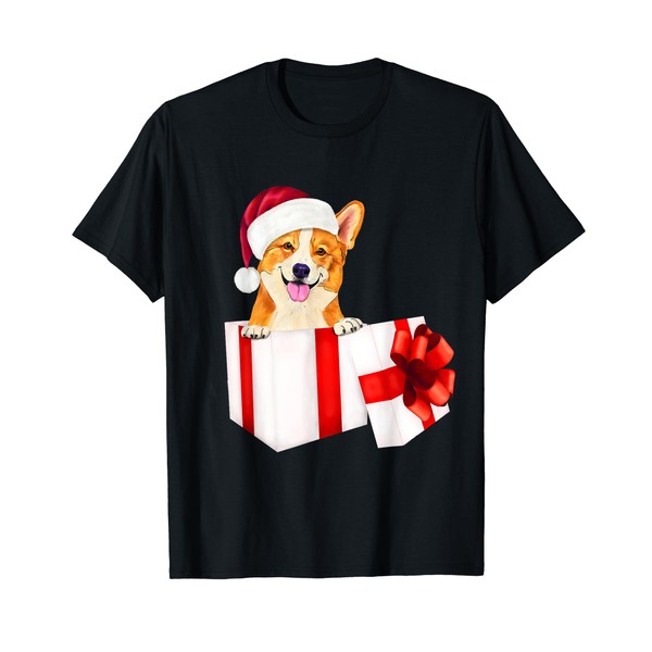 Corgi dog in a Santa hat and present box with