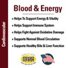 Vet Classics Blood & Energy Support for Dogs, Supports Endurance