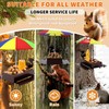 Squirrel Feeder with Umbrella, Metal Squirrel Feeders for Outside with