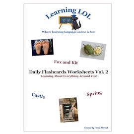 Daily Flashcards Worksheets Vol. 2: Learning About Everything Around You!