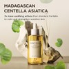 Skin1004 Madagascar Centella Asiatica 100 Ampoule (100ml or 3.38 floz)