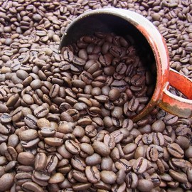 Caffeinated Coffee (Colombia) (Beans) 8.8 oz (250 g)