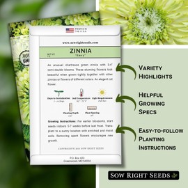 Sow Right Seeds - Zinnia Envy Flower Seeds for Planting - Beautiful Flowers to Plant in Your Garden - Non-GMO Heirloom Seeds - Chartreuse Green Variety - Attract Pollinators - Giant Cut Flower (1)
