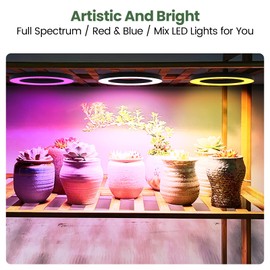 Mosthink 6.3" Ceiling Grow Lights for Indoor Plants, 144 LEDs Plant Light Full Spectrum, Under Cabinet Growing Lamp with Auto Timer, 10 Dimmable Levels, 3 Modes with Transparent Cover,Corded