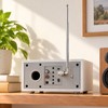 Telescopic FM Radio Antenna with 3.5mm Adapter & F-Type Male