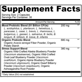 Amen Mood Probiotic Supplement 51 Billion CFU - Organic Prebiotics and Probiotics - Acidophilus Probiotic Pills, Fibers - Mood Organic Ashwagandha, Blueberries - Vegan & Non-GMO - 60 Capsules